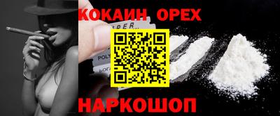 мдпв Кингисепп