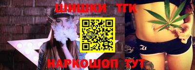 мдпв Кингисепп