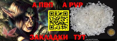 мдпв Кингисепп