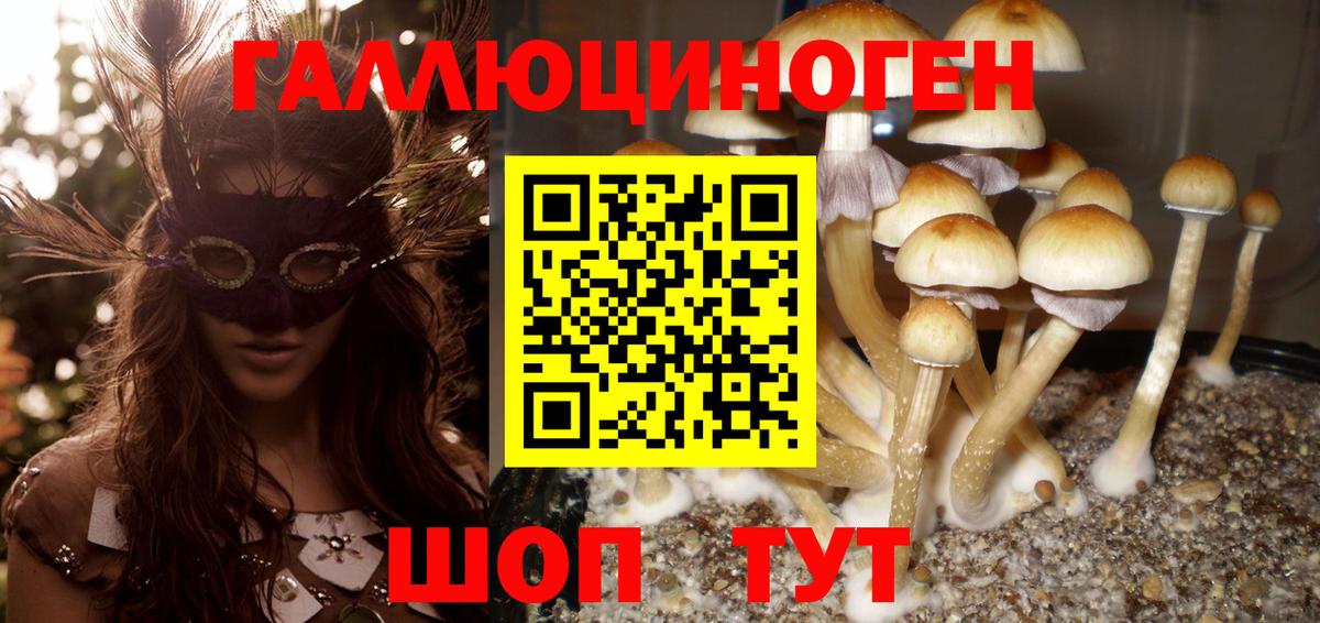 Псилоцибиновые грибы Psilocybine cubensis Коряжма