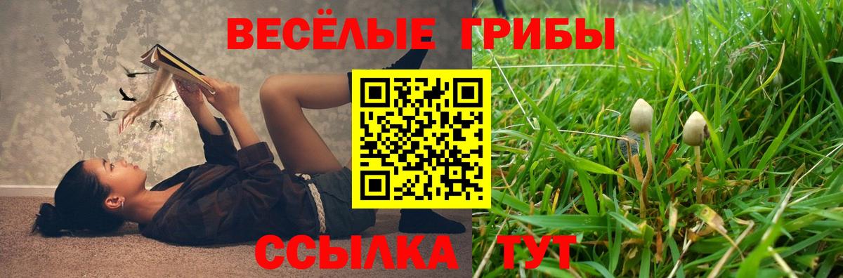 Псилоцибиновые грибы мухоморы  Вход с VPN  Коряжма 